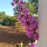 Σπίτι διακοπών Trullo Dai Mimmi Ostuni