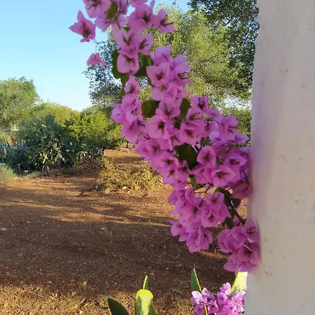 בית נופש Trullo Dai Mimmi אוסטוני