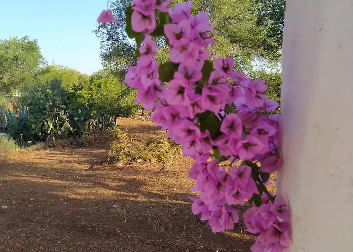 Сasa de vacaciones Trullo Dai Mimmi Ostuni